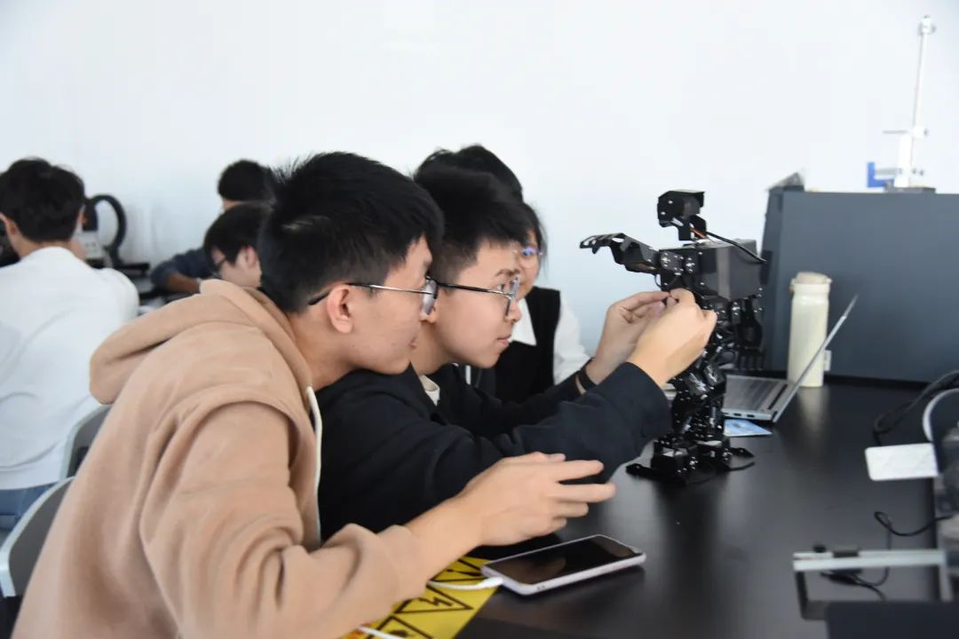 DSC_6644.JPG 图片